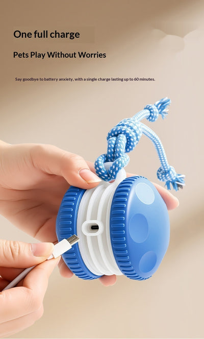 Pelota Interactiva Recargable para Gatos y Perros - Juguete Rodante Duradero - Image 14
