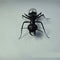 Mascota Electrónica Solar Hormiguita Interactiva