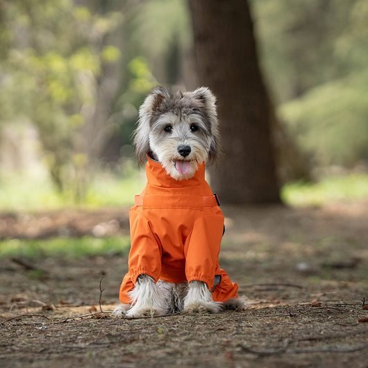 Impermeable para Perros con Estilo Personalizado - Image 18