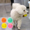 Juguete de Látex para Perros Pequeños y Medianos con Sonido - Huevo Multicolor
