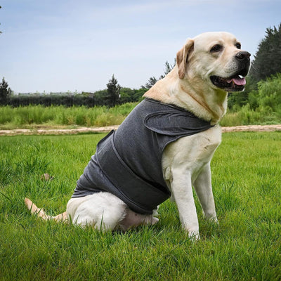 Chaleco Calmante para Perros - Prenda de Compresión contra la Ansiedad - Image 3