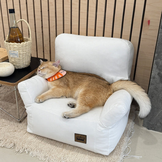 Cama Sofá para Mascotas con Diseño Acogedor - Lavable y Transpirable - Image 5