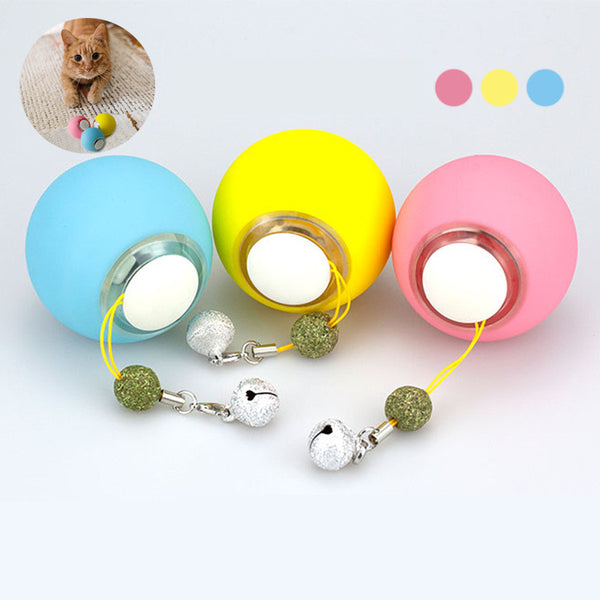 Light blue pet toy ball with a smooth finish and silver-toned accents, designed for interactive play.