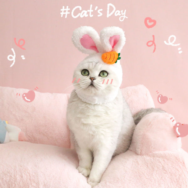 Gorro Divertido con Orejas de Gato, Perro y Conejo para Mascotas y Decoración Pascual