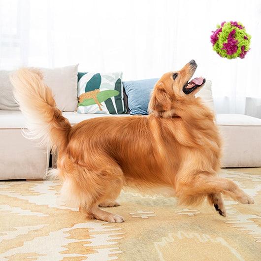 Juguetes Interactivos para Perros - Pelotas de Alga Marina Resistentes al Desgarro con Limpieza Dental - Image 6