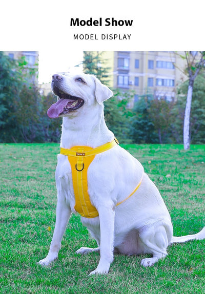 Arnés de Pecho con Cuerda de Tracción para Perros Pequeños, Medianos y Grandes - Image 27