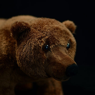 Peluche Oso Pardo Realista - Image 4