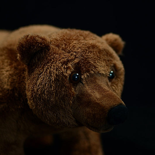 Peluche Oso Pardo Realista - Image 4