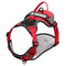 Rojo With Negro S