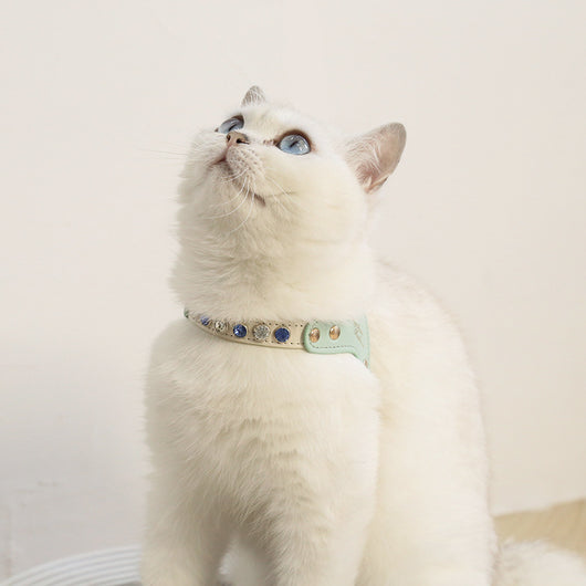 Traje Protector Diamond en Cuero PU para Perros y Gatos - Image 9