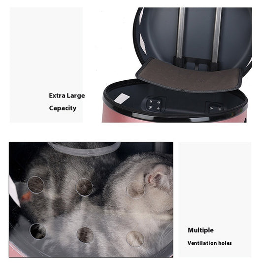 Bolsa Transportadora Transparente Reforzada para Mascotas - Gatos y Perros - Image 24