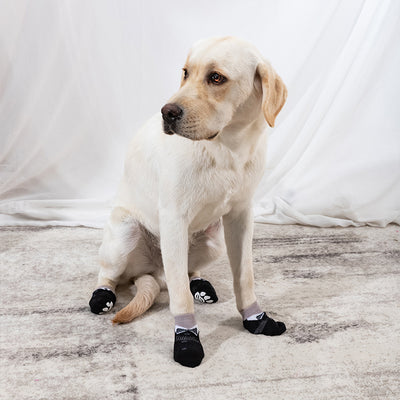 Calcetines de Halloween para Mascotas - Set Completo de Cobertores para Patas - Image 11
