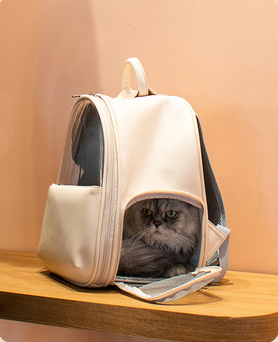 Mochila Transparente para Mascotas - Viajes Seguros para Gatos y Perros - Image 9