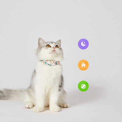 Localizador Inteligente Bluetooth para Mascotas - Image 10
