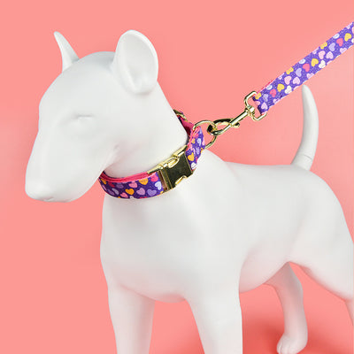 Correa Doble para Mascotas - Collar Reforzado para Perros y Gatos - Image 17