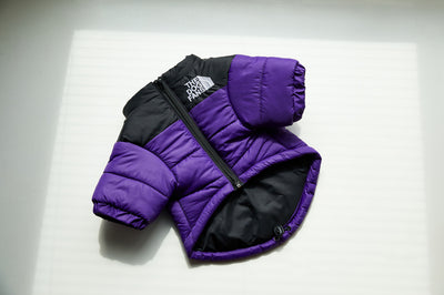 Abrigo Impermeable y Cortavientos para Perros - Ropa de Invierno Acolchada - Image 10