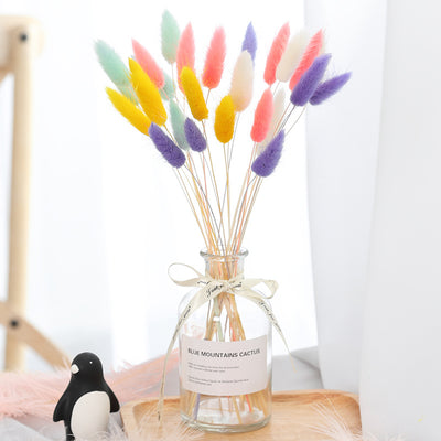 Ramo de Flores Secas con Pasto Cola de Conejo - Decoración Natural - Image 17