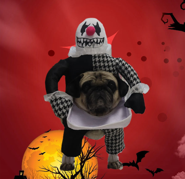 Disfraz Demonio Halloween para Mascotas con Accesorios Fotográficos