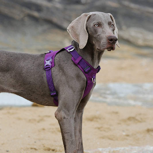 Arnés de Tracción para Perros Grandes con Correa de Paseo