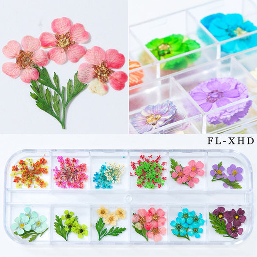 Flores Secas para Nail Art - Image 6