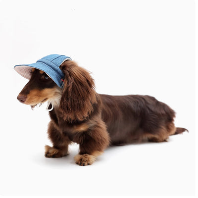 Sombrero Vaquero Protector Solar para Mascotas - Image 7