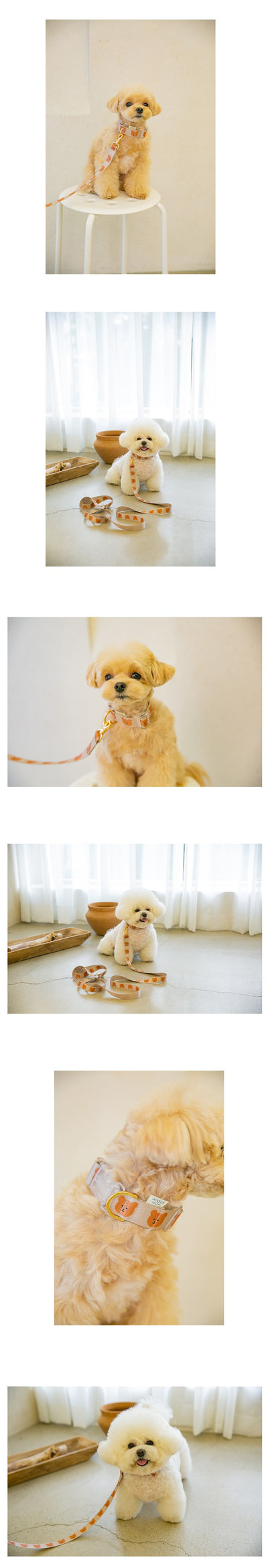 Juguete de Cuerda para Perros Osito Suave y Resistente - Image 13