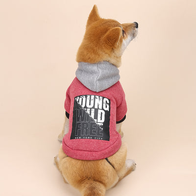 Sudadera con Capucha y Estampado de Letras - Image 6