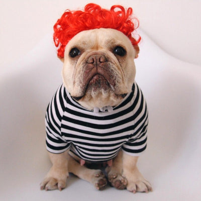 Peluca Divertida para Mascotas - Accesorios Cómicos y Creativos - Image 10