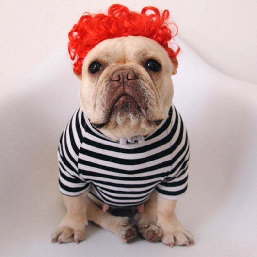 Peluca Divertida para Mascotas - Accesorios Cómicos y Creativos - Image 10