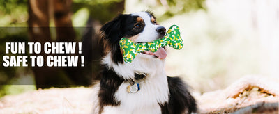 Juguete Masticable para Perros Grandes Resistente - Hueso de Goma Natural Indestructible - Image 14