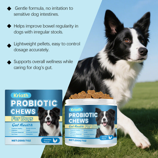 Probióticos en Gránulos Blandos para la Salud Digestiva de tu Perro - Image 11