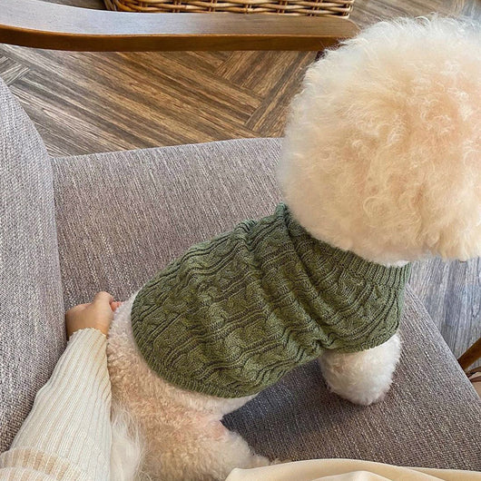 Suéter Tejido para Mascotas Bomei - Abrigo Otoño e Invierno - Image 17