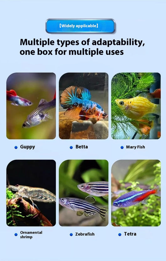 Caja de Aislamiento Acrílica para Reproducción de Peces - Image 16