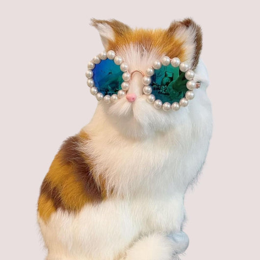 Gafas de Sol Pearl para Mascotas - Accesorios Divertidos y Elegantes para Disfraz de Fiesta - Image 10