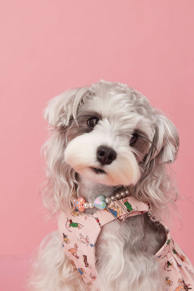 Adornos de Cuentas para Mascotas - Accesorios Decorativos Cóncavos para Perros - Image 6