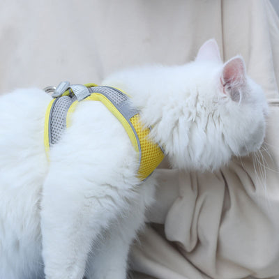 Arnés de Seguridad para Gatos con Correa Antiescapes - Image 9