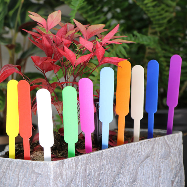Etiquetas para Plantas Suculentas Resistentes al Agua y Rayos UV