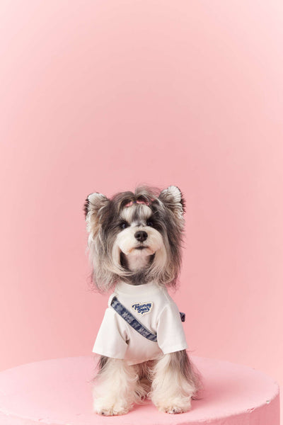 Ropa de Verano para Perros Pequeños - Teddy Schnauzer Bichón - Image 25