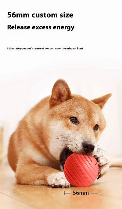 Orange intelligent electric vibration ball pet toy with light blue dog and cat silhouettes, designed for dogs and cats. - Image 13