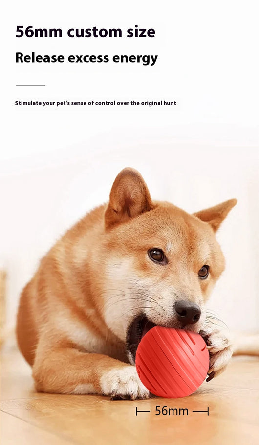 Orange intelligent electric vibration ball pet toy with light blue dog and cat silhouettes, designed for dogs and cats. - Image 13