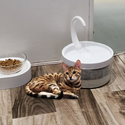 Fuente de Agua Automática Circulante para Mascotas - Image 24