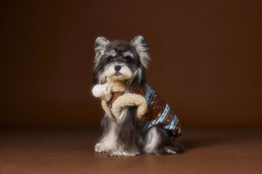 Chaleco Fair Isle para Mascotas Schnauzer Bichon Teddy - Image 14