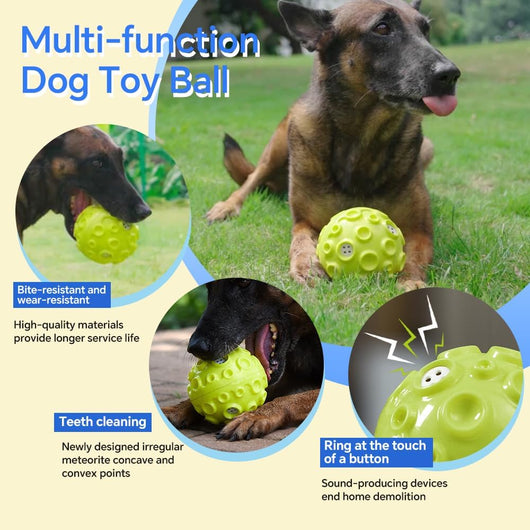Pelota Interactiva para Perros Masticadores - Juguete Durable con Sonido Chirriante - Image 9
