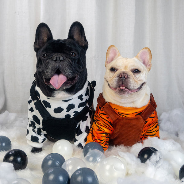 Conjunto de Ropa Térmica para Perros - Abrigo de Dos Piezas Otoño e Invierno