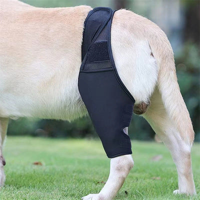 Protector de Patas para Perros con Soporte de Rodilla y Correas Ajustables - Image 6