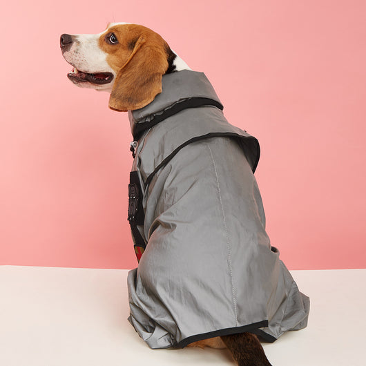 Impermeable Reflectante para Perros - Abrigo Protector Lluvia - Image 10