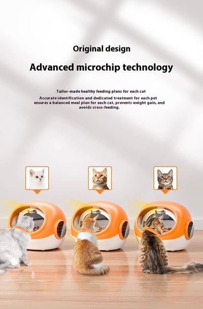 Comedero Automático Inteligente Multi-gato con Identificación por Chip - Image 13
