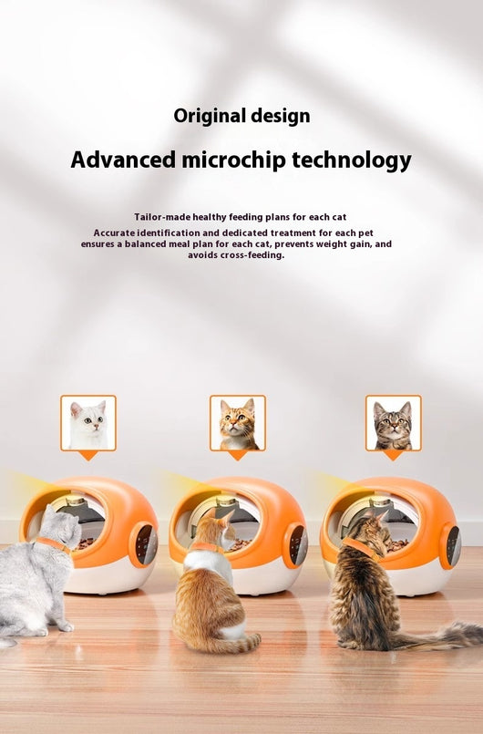 Comedero Automático Inteligente Multi-gato con Identificación por Chip - Image 13