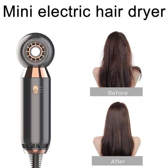 Secador de Cabello Iónico 800W con 2 Velocidades - Profesional Portátil