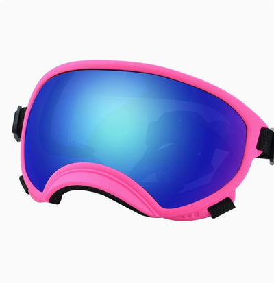 Gafas Protectoras para Perros en la Nieve - Image 18